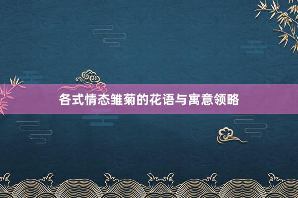 各式情态雏菊的花语与寓意领略